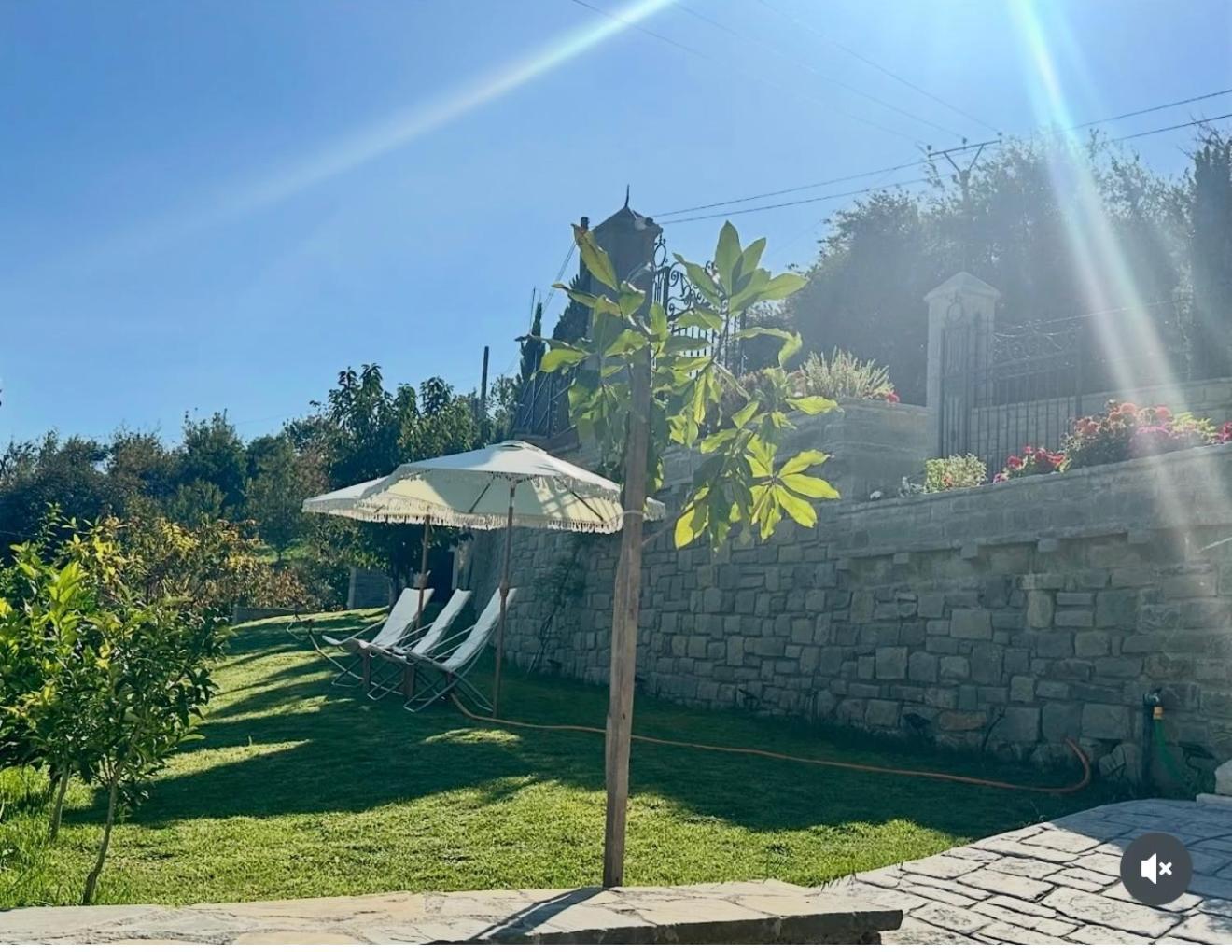 Sunrise House - Swimming Pool Berat